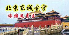 欧美抽插大骚逼中国北京-东城古宫旅游风景区